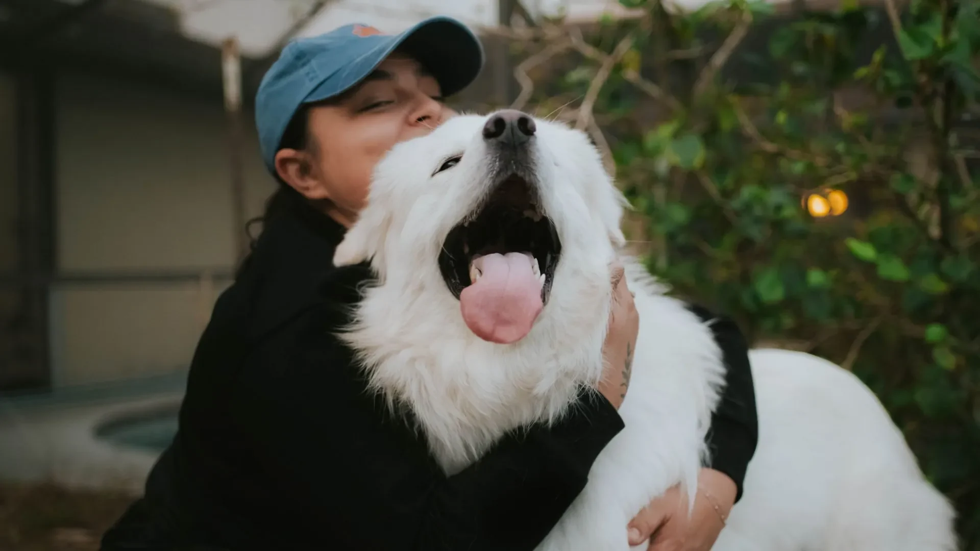 A sitter hugging a happy white dog.