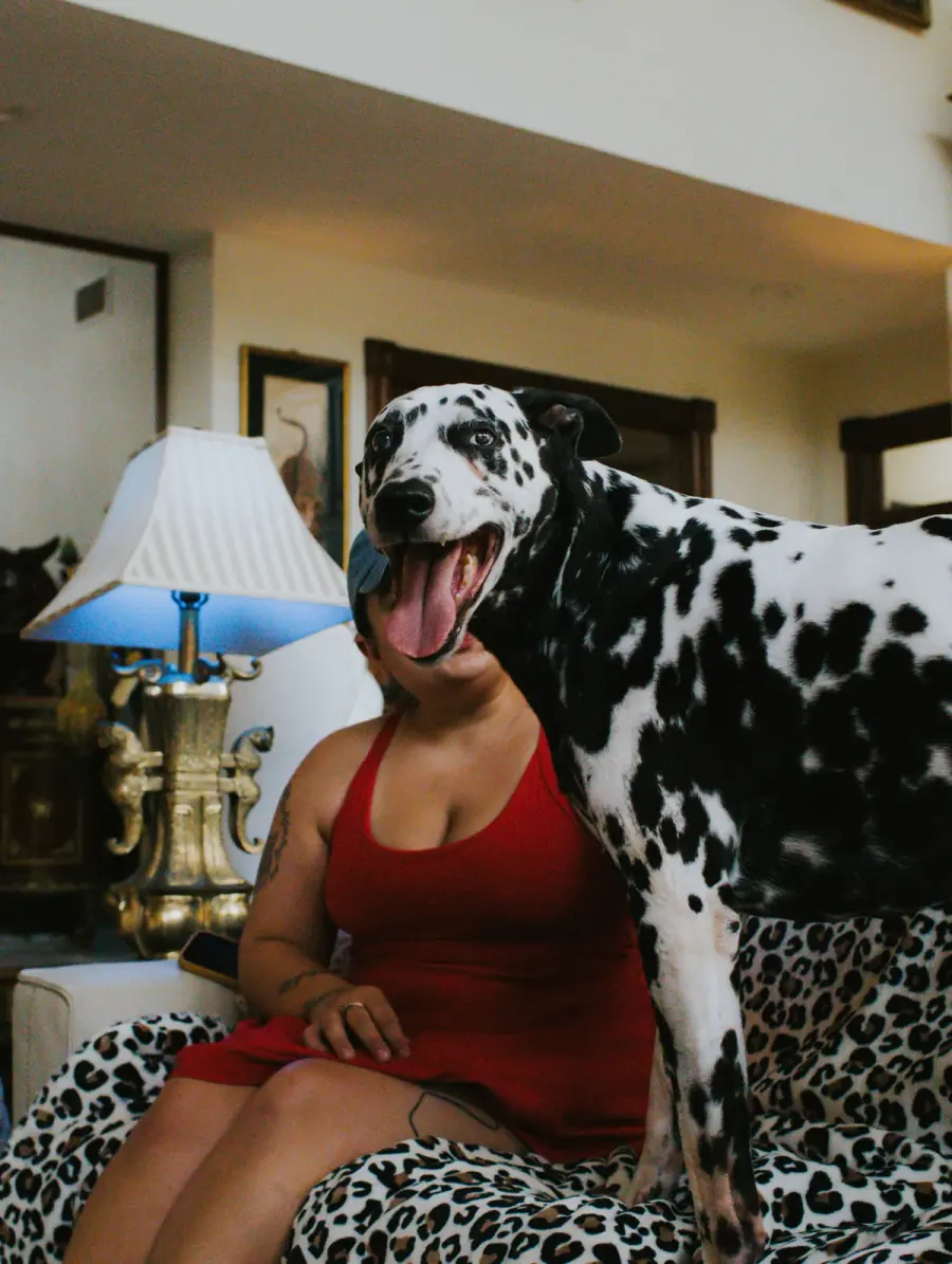 Alex relaxing indoors with a happy Dalmatian.
